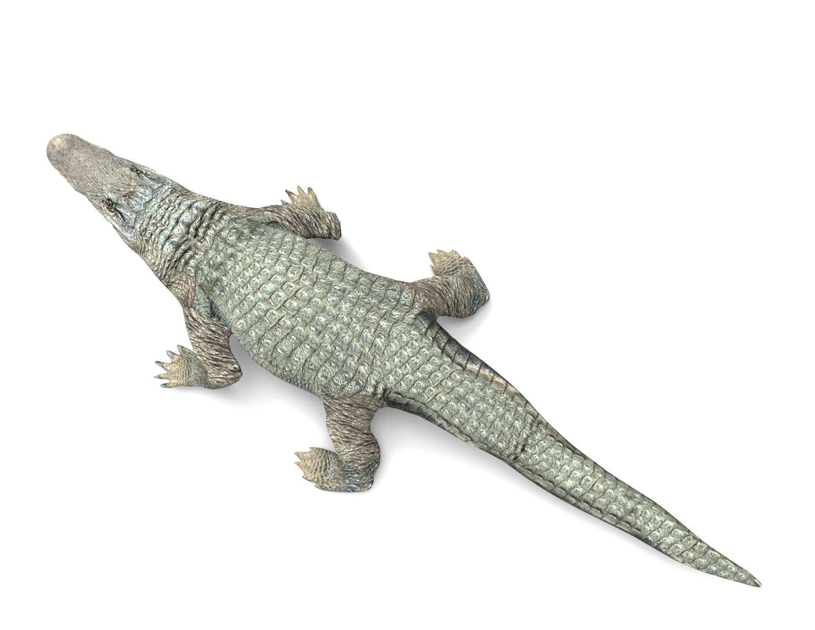 Crocodile Rigged 3D Models game ready Low-poly 3D model_7