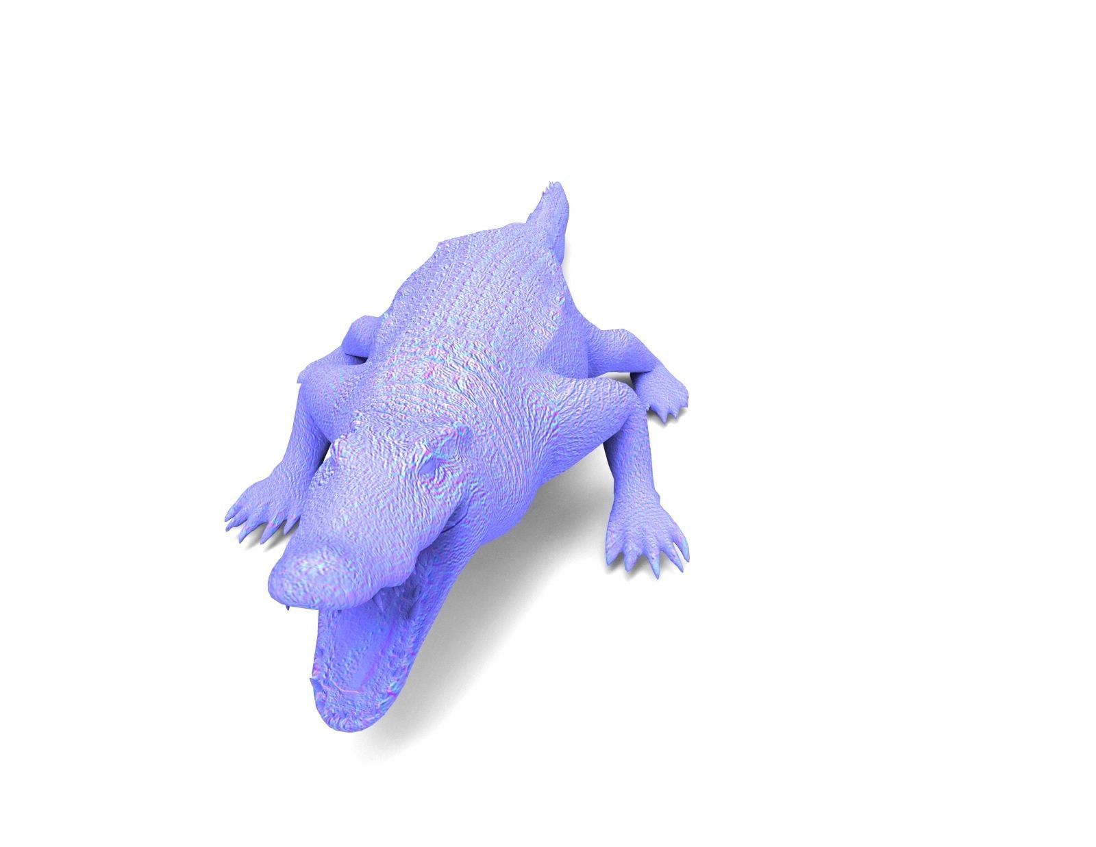 Crocodile Rigged 3D Models game ready Low-poly 3D model_13