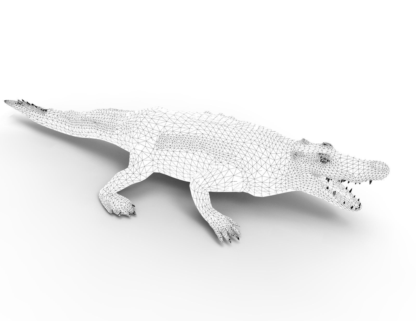 Crocodile Rigged 3D Models game ready Low-poly 3D model_21