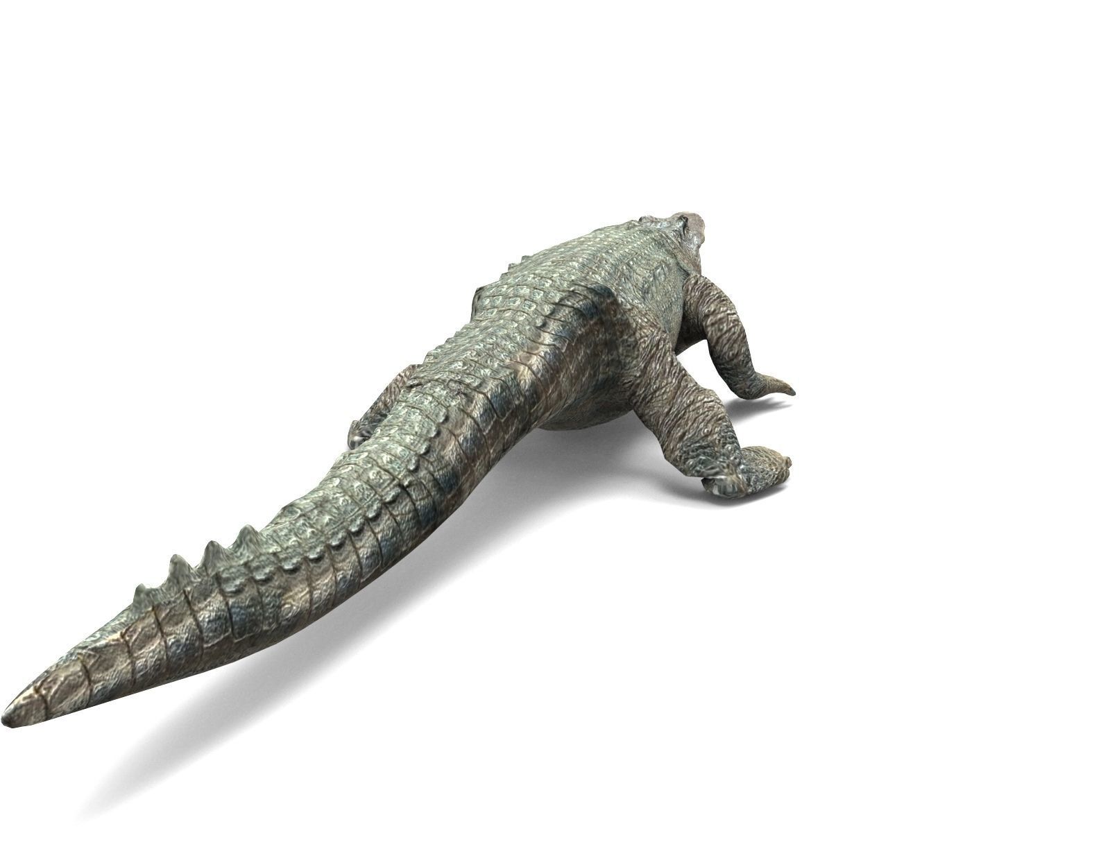 Crocodile Rigged 3D Models game ready Low-poly 3D model_6