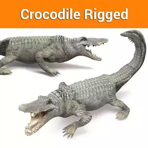 Crocodile Rigged 3D Models game ready Low-poly 3D model