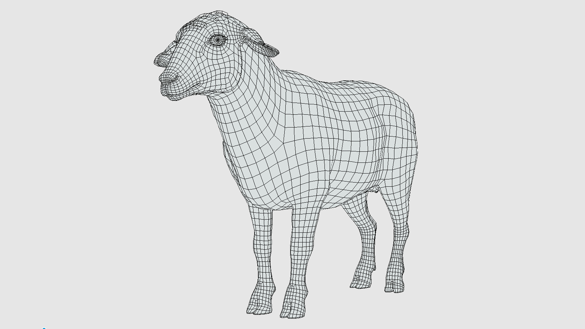 Sheep Low-poly 3D model_15