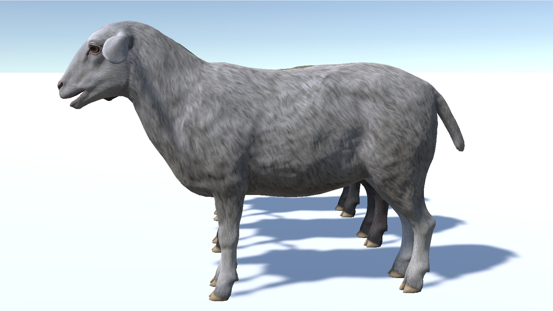 Sheep Low-poly 3D model_11