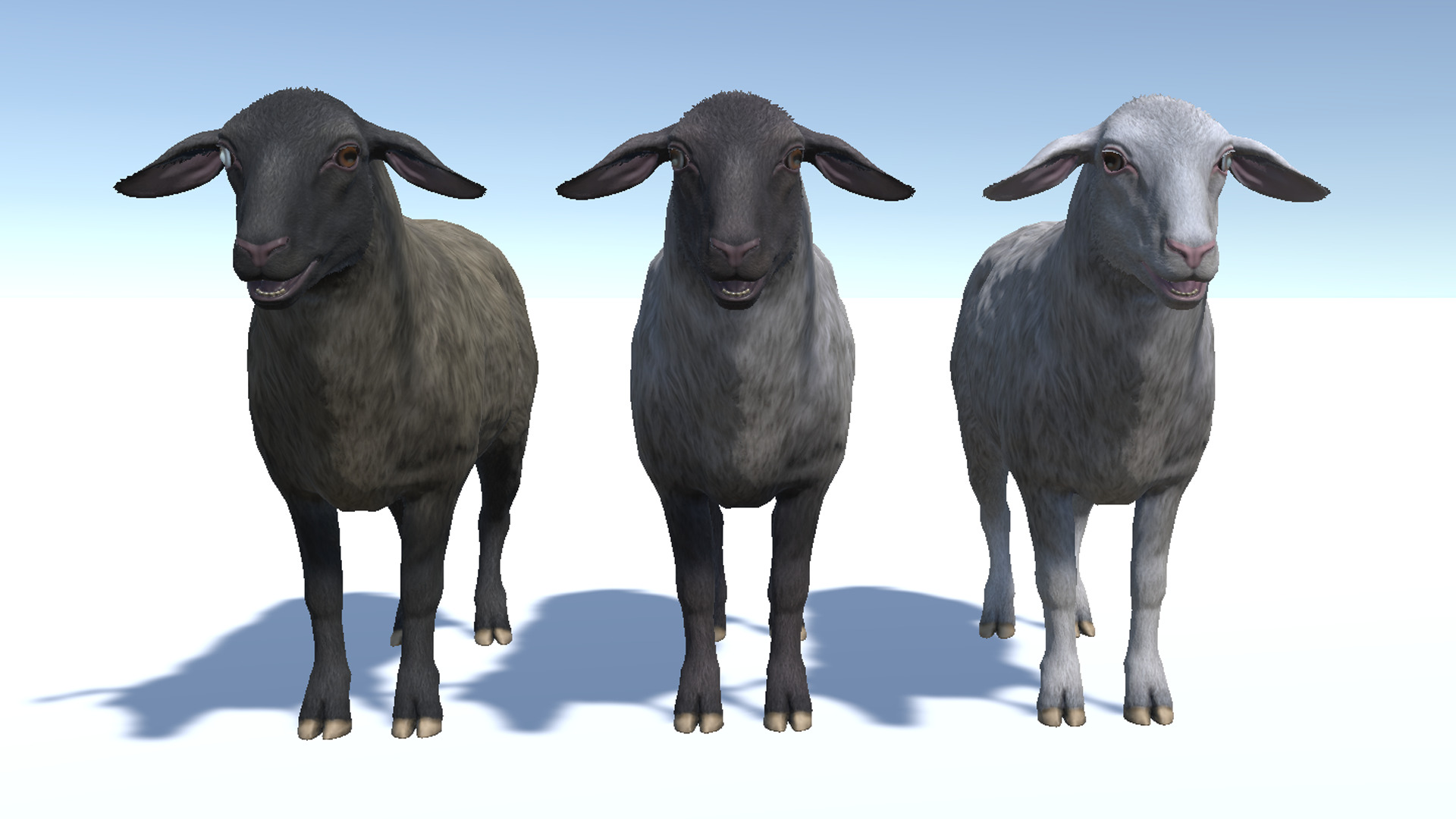 Sheep Low-poly 3D model_8