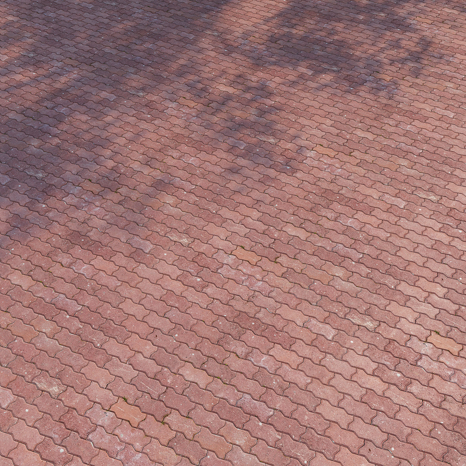 Floor Tiles 3D model_1