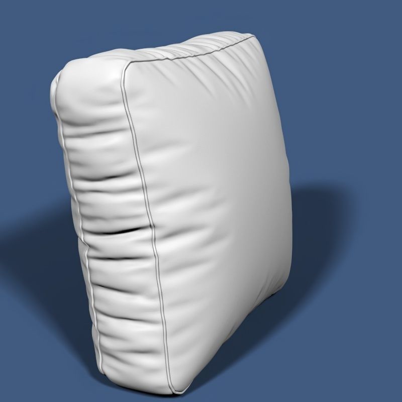 Pillow 60 3D model_1