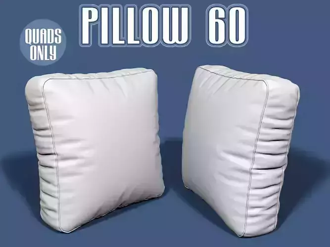 Pillow 60