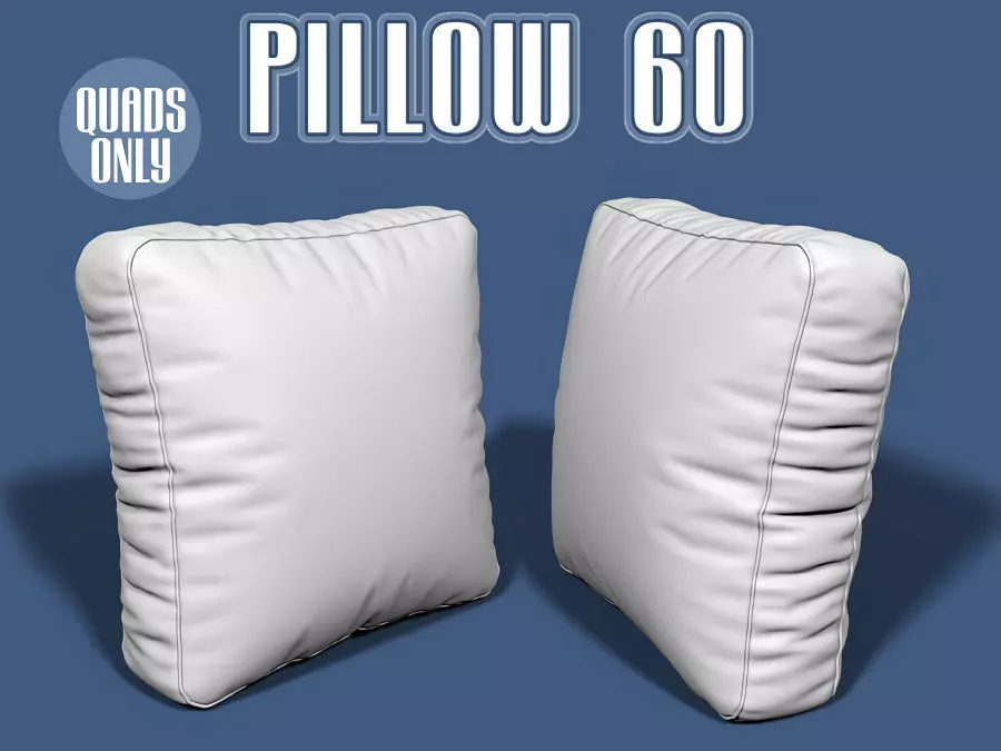 Pillow 60 3D model_0
