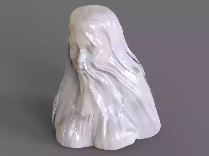 Veiled Woman Bust