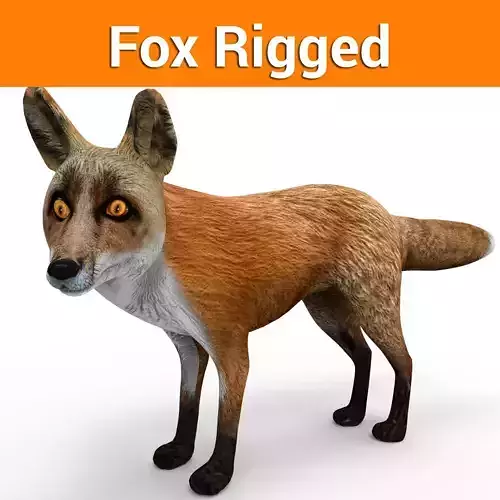 3D Fox rigged Model Low-poly 3D model