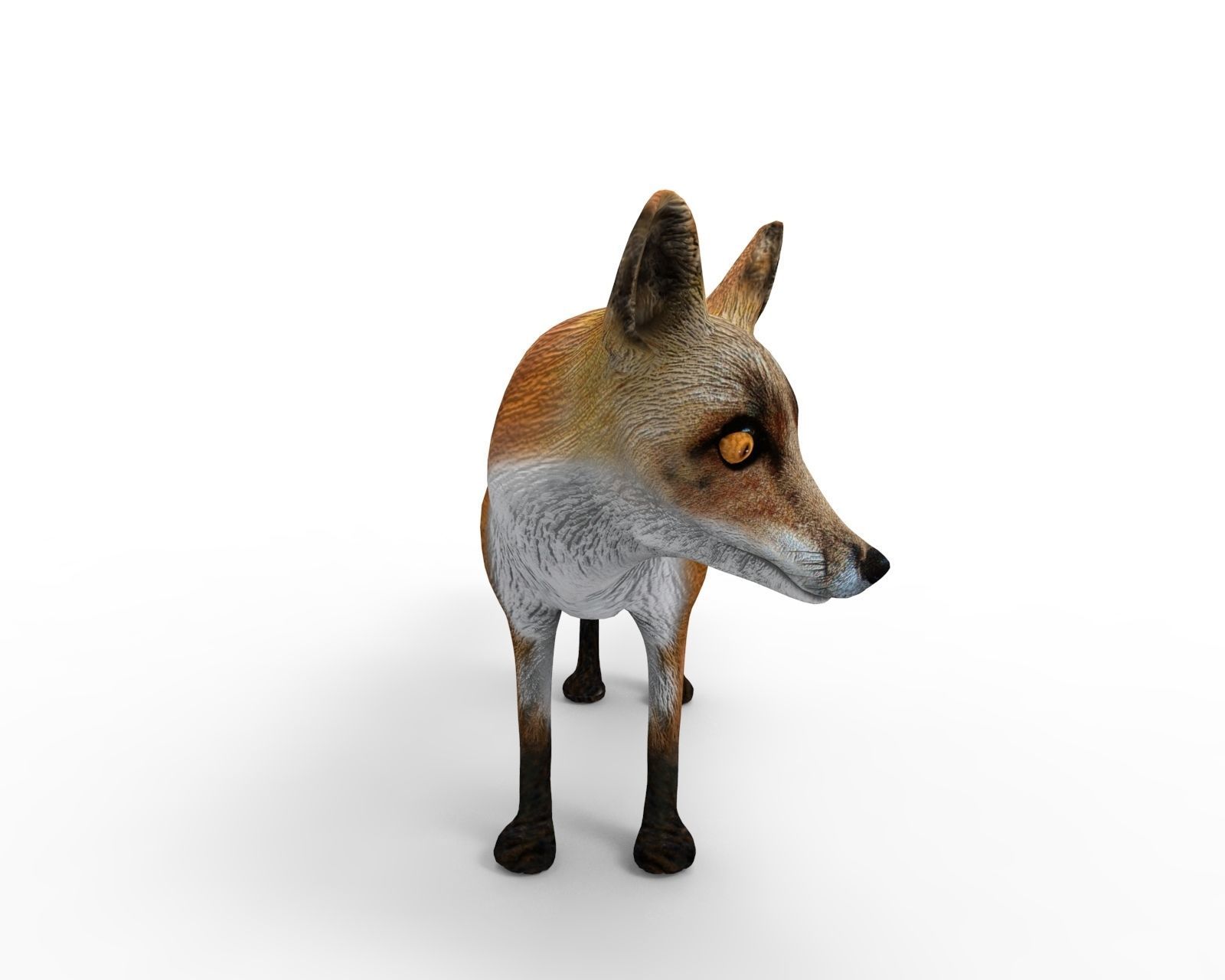 3D Fox rigged Model Low-poly 3D model_4