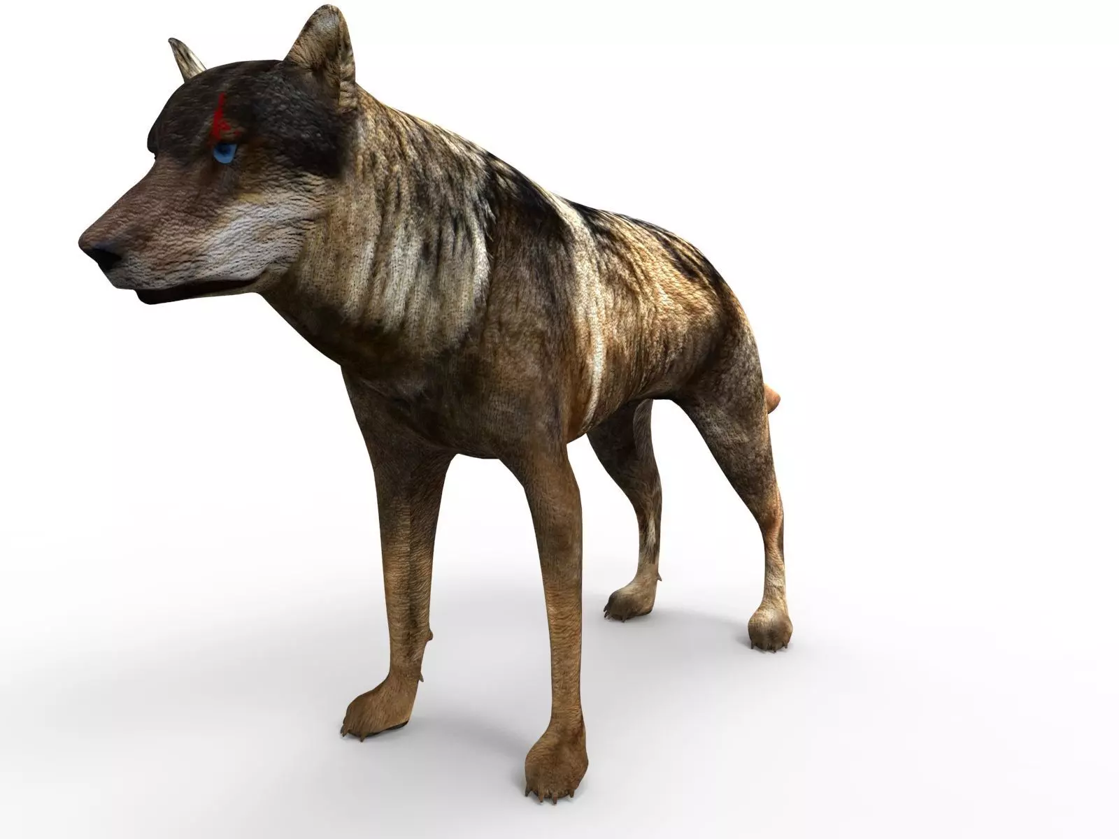Fox rigged 3D Models low poly model Low-poly 3D model_0