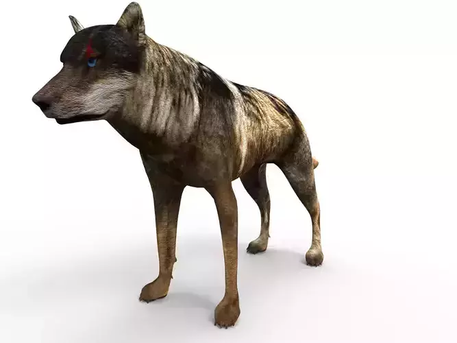 Fox rigged 3D Models low poly model