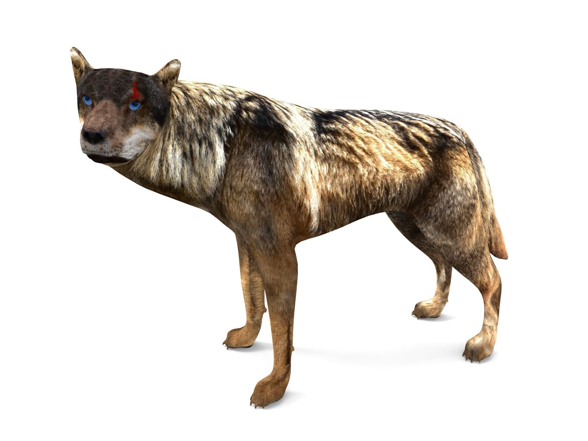 Fox rigged 3D Models low poly model Low-poly 3D model_5