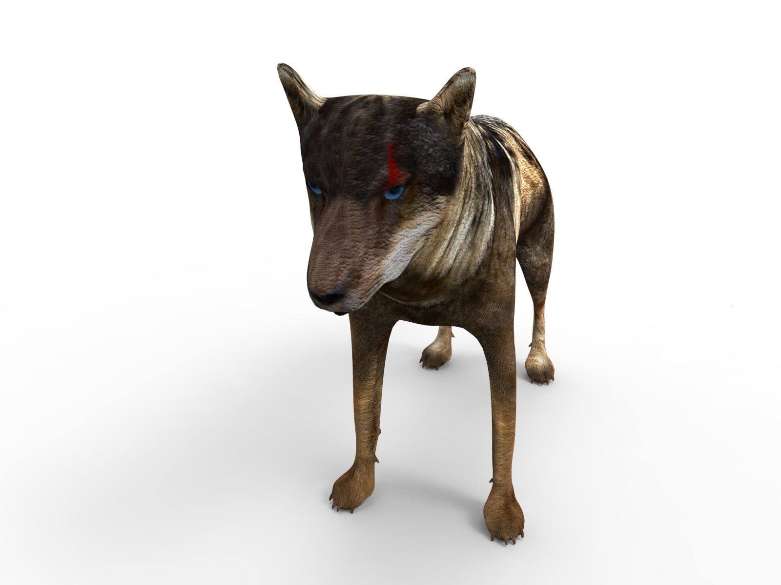 Fox rigged 3D Models low poly model Low-poly 3D model_7