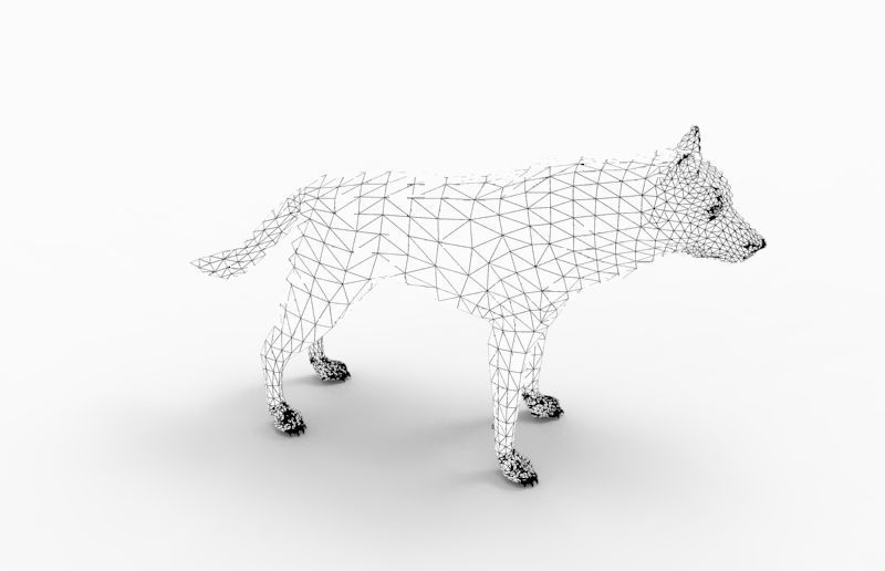 Fox rigged 3D Models low poly model Low-poly 3D model_16