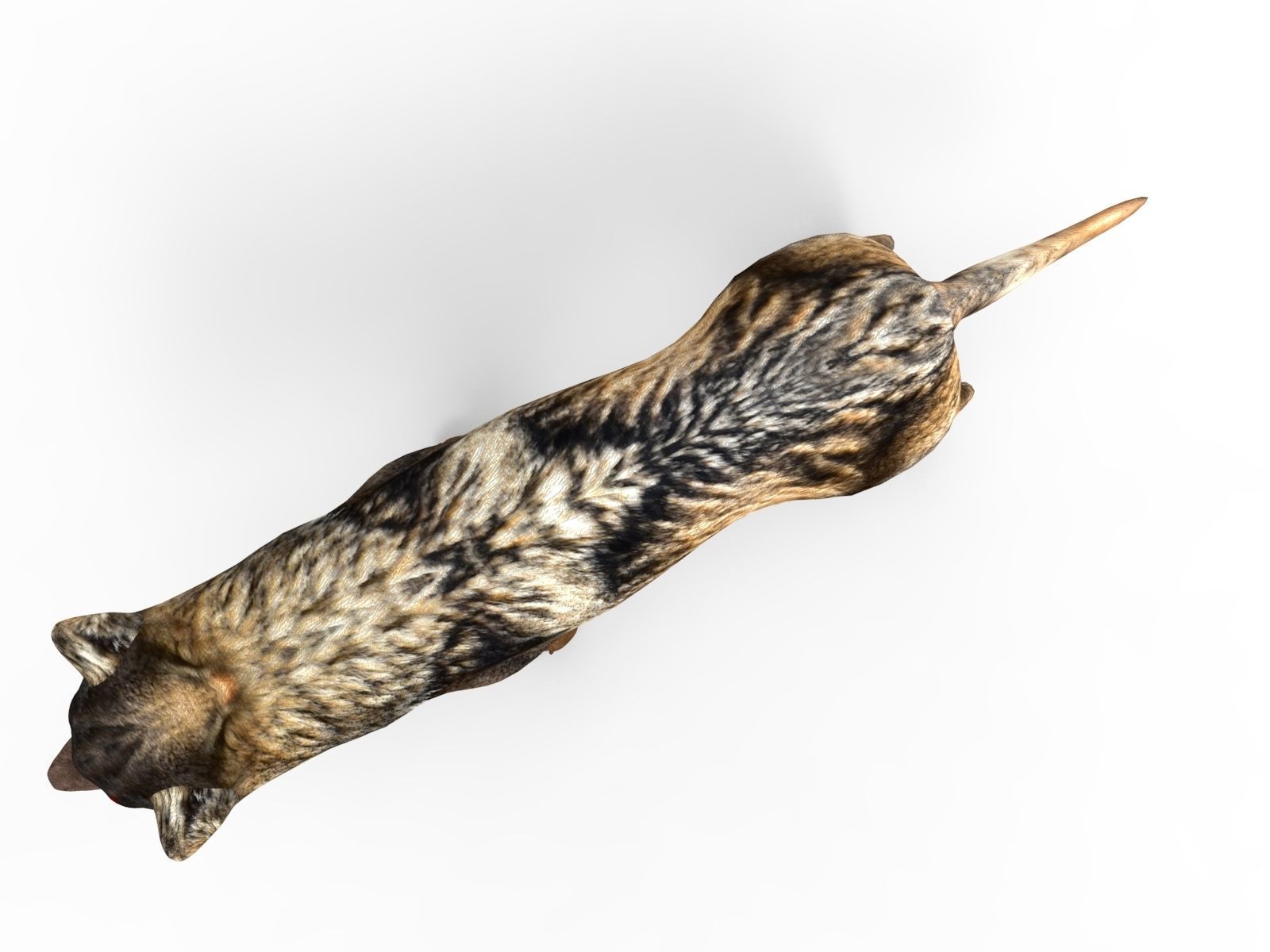 Fox rigged 3D Models low poly model Low-poly 3D model_14