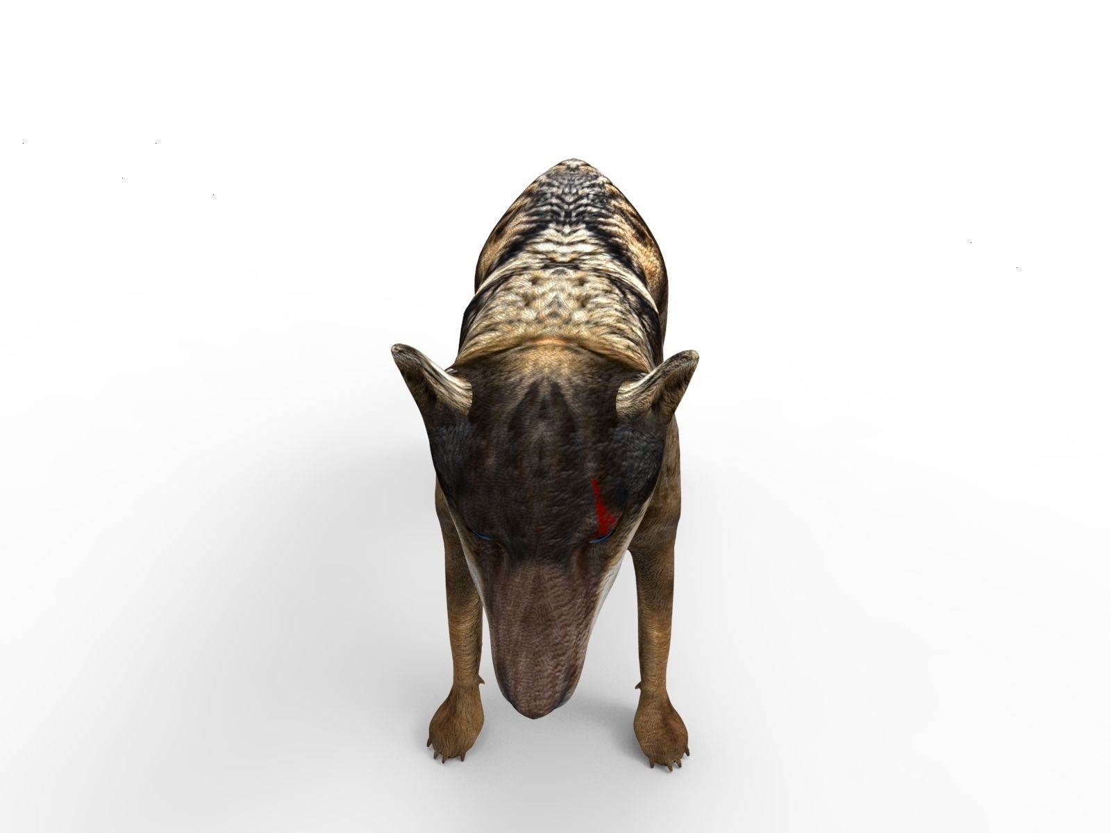 Fox rigged 3D Models low poly model Low-poly 3D model_12