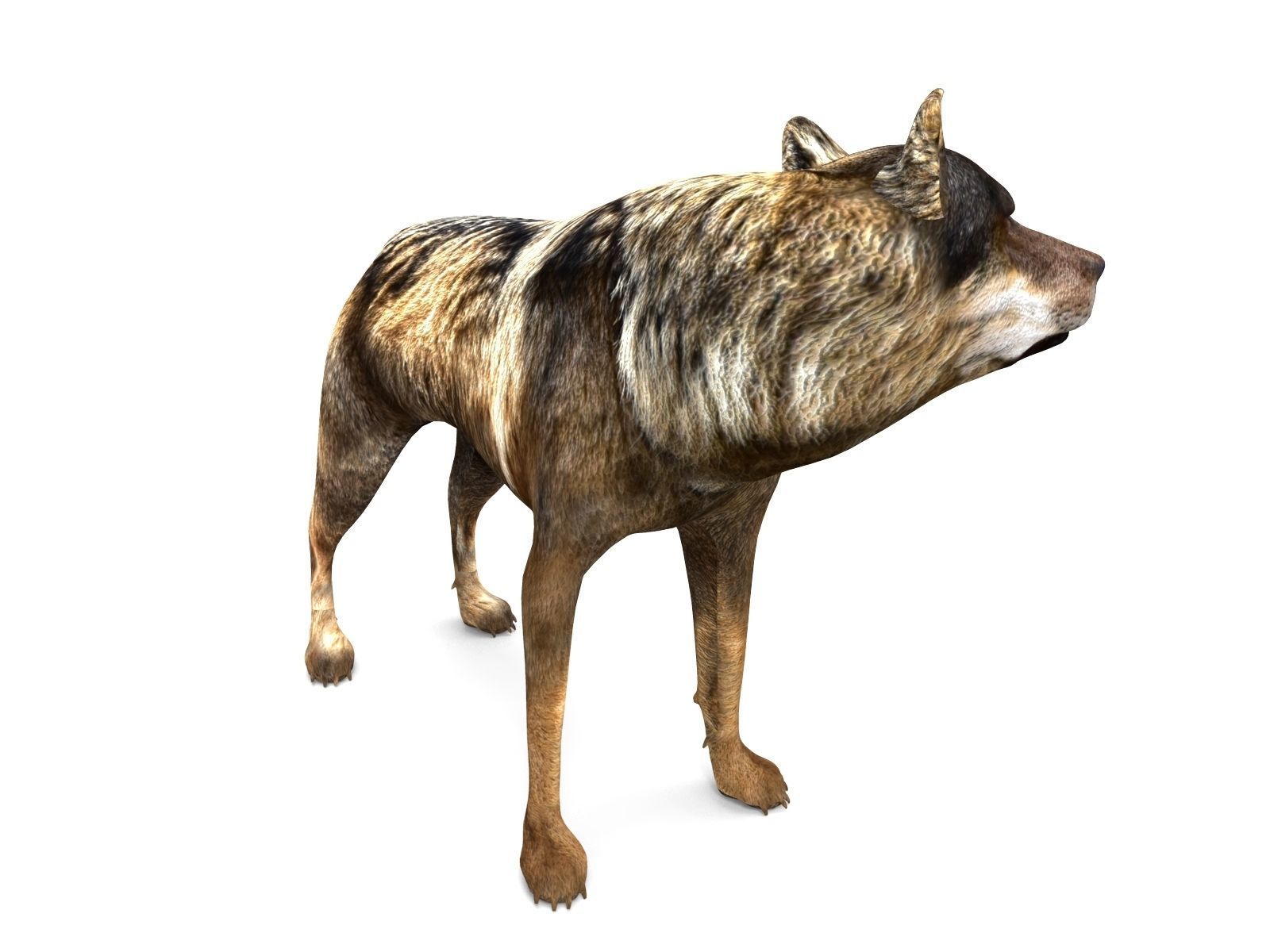 Fox rigged 3D Models low poly model Low-poly 3D model_2