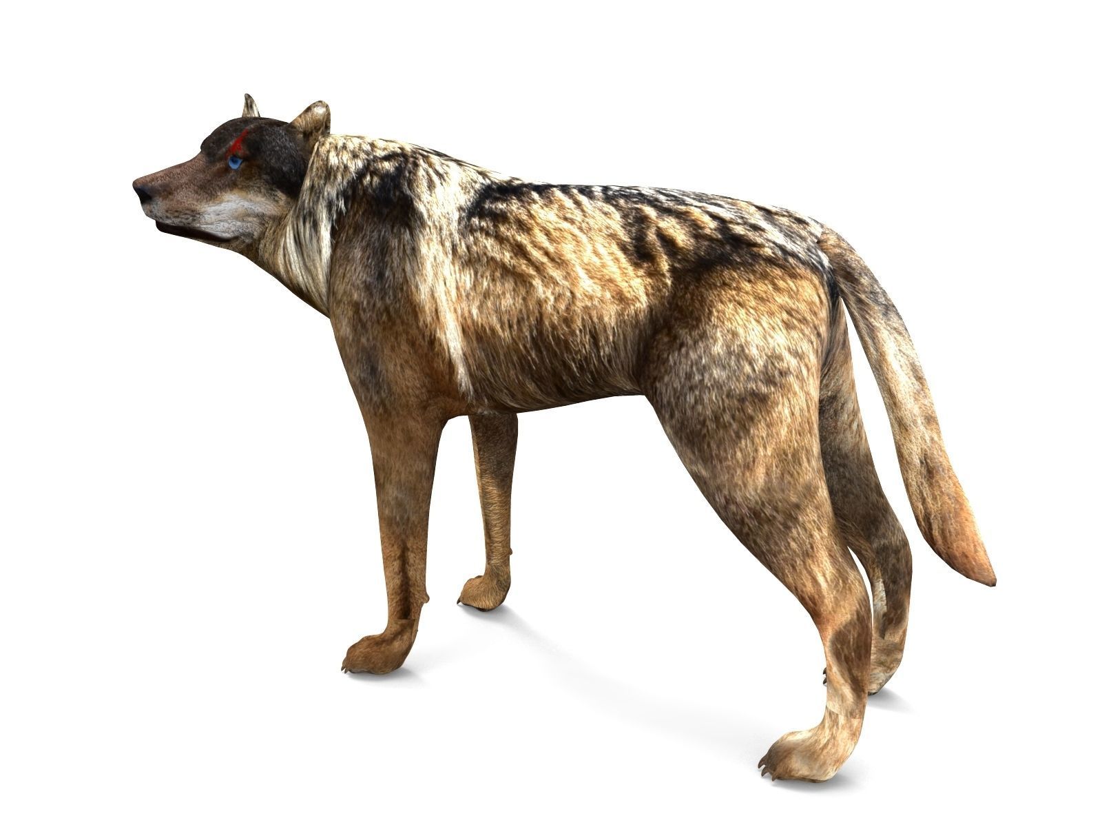 Fox rigged 3D Models low poly model Low-poly 3D model_3