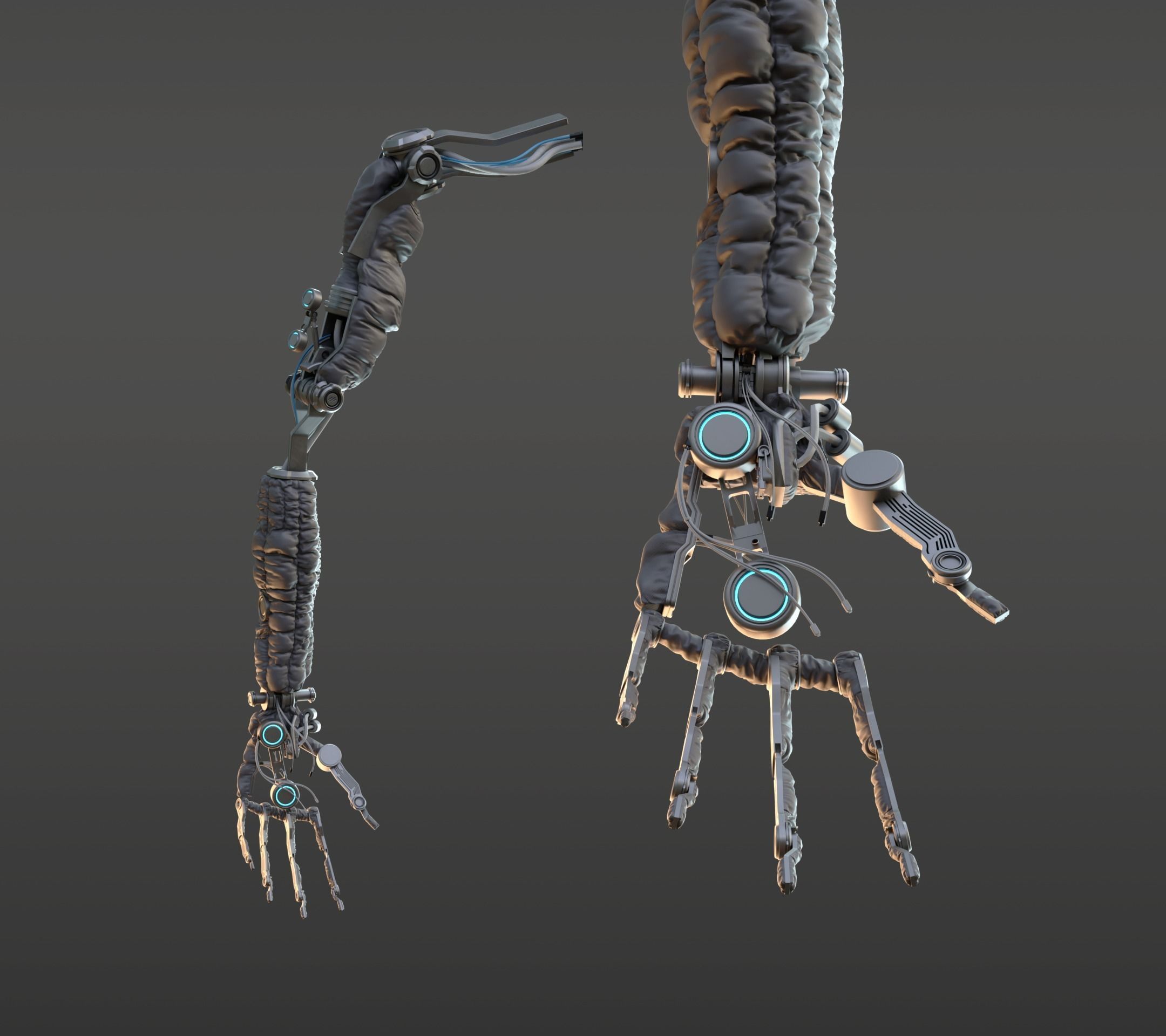 hand anatomy mechanical 3D model_18