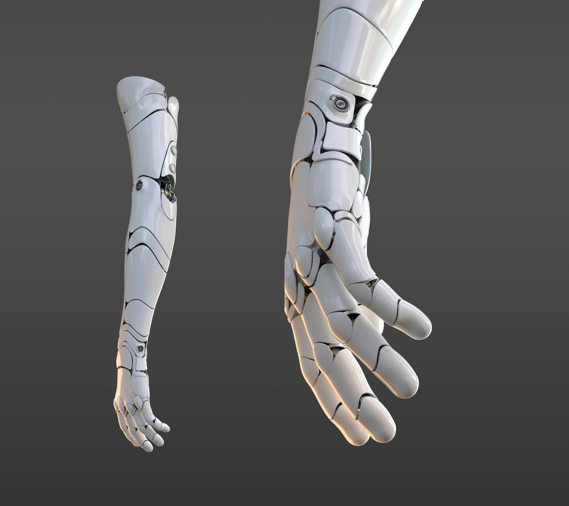 hand anatomy mechanical 3D model_11