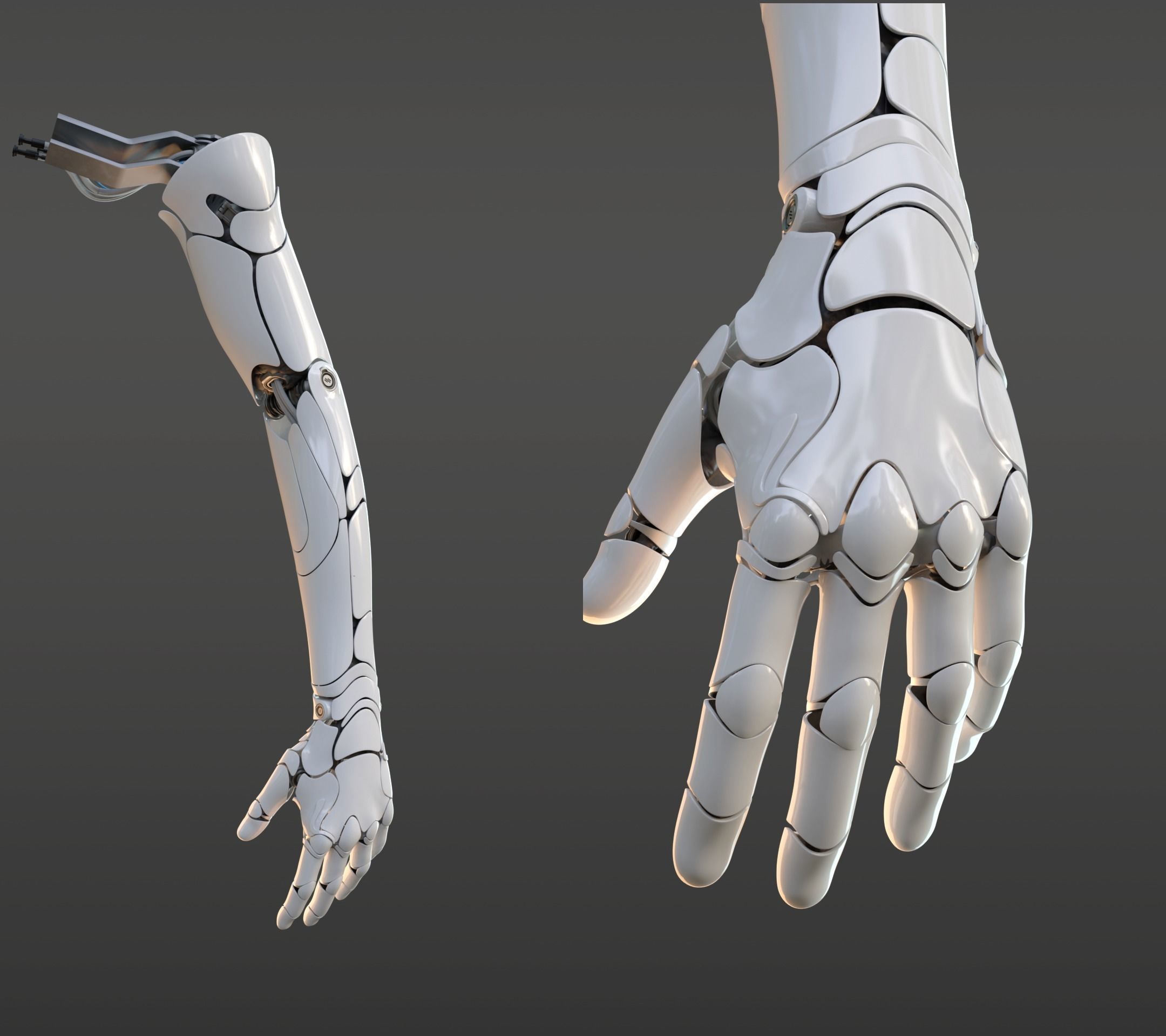 hand anatomy mechanical 3D model_12