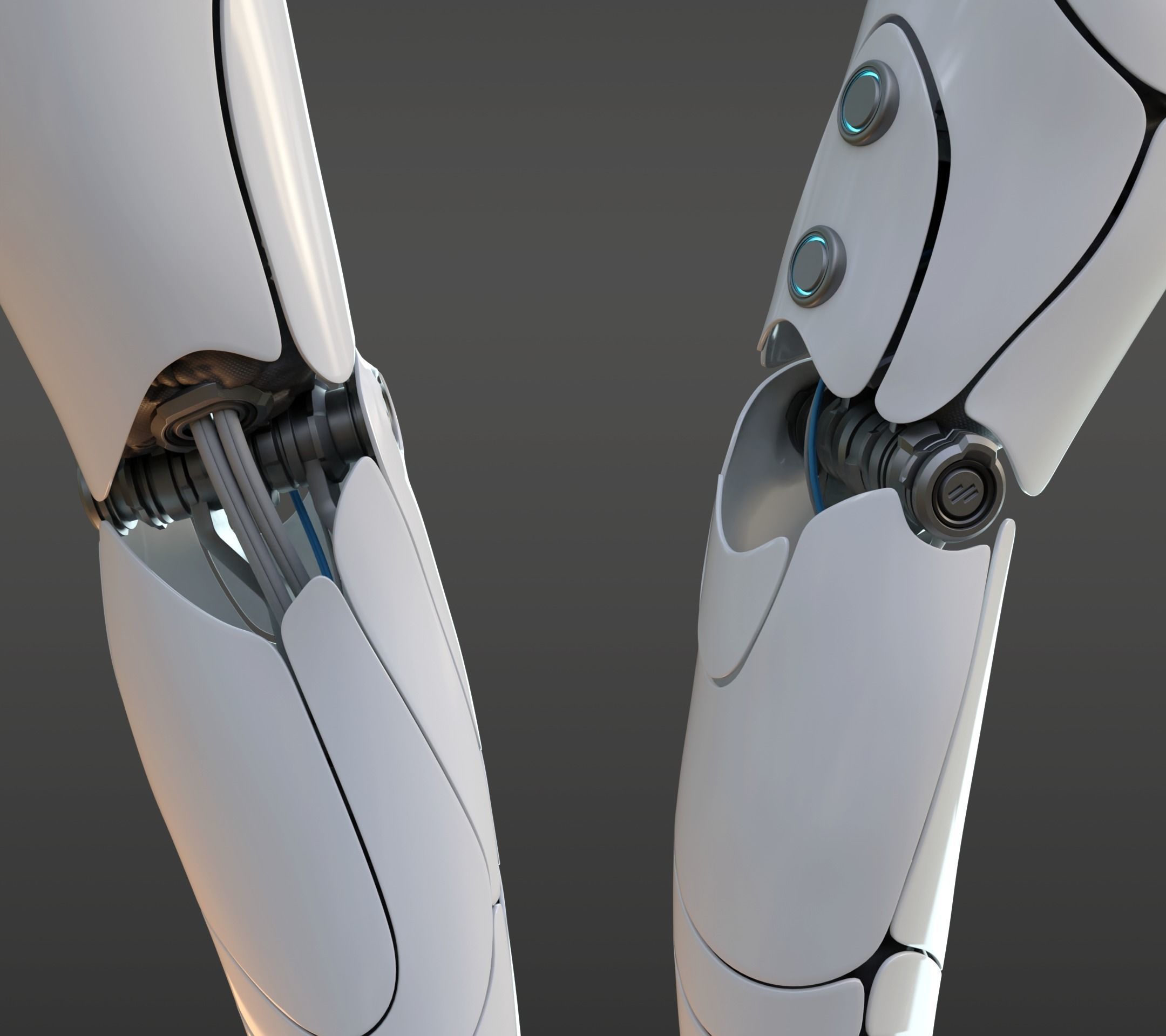 hand anatomy mechanical 3D model_23