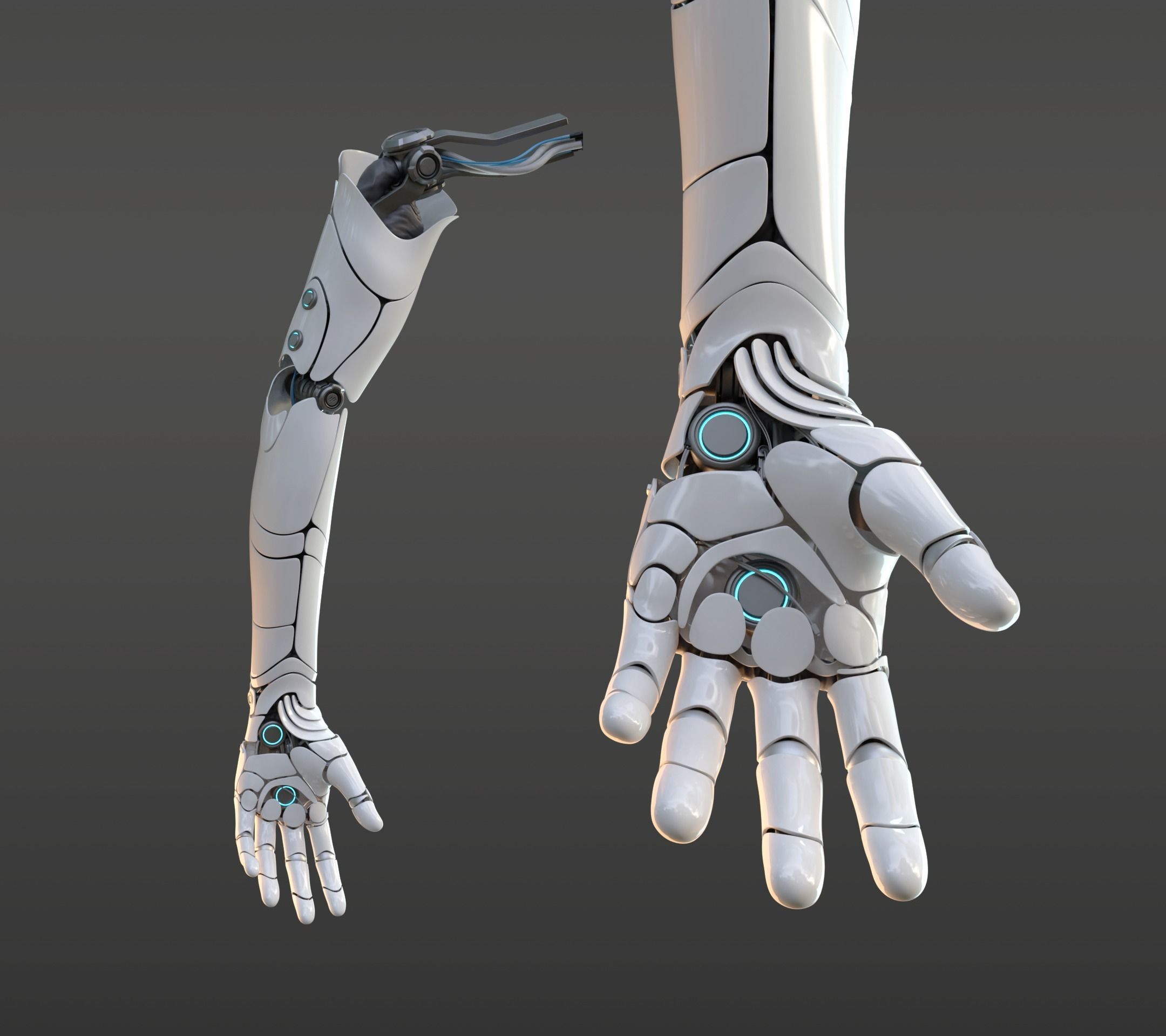 hand anatomy mechanical 3D model_10