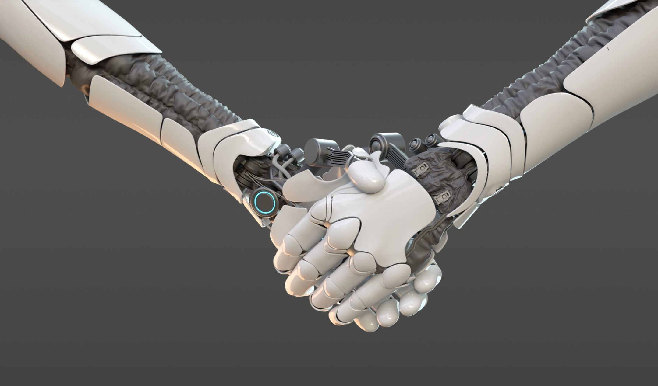hand anatomy mechanical 3D model_7
