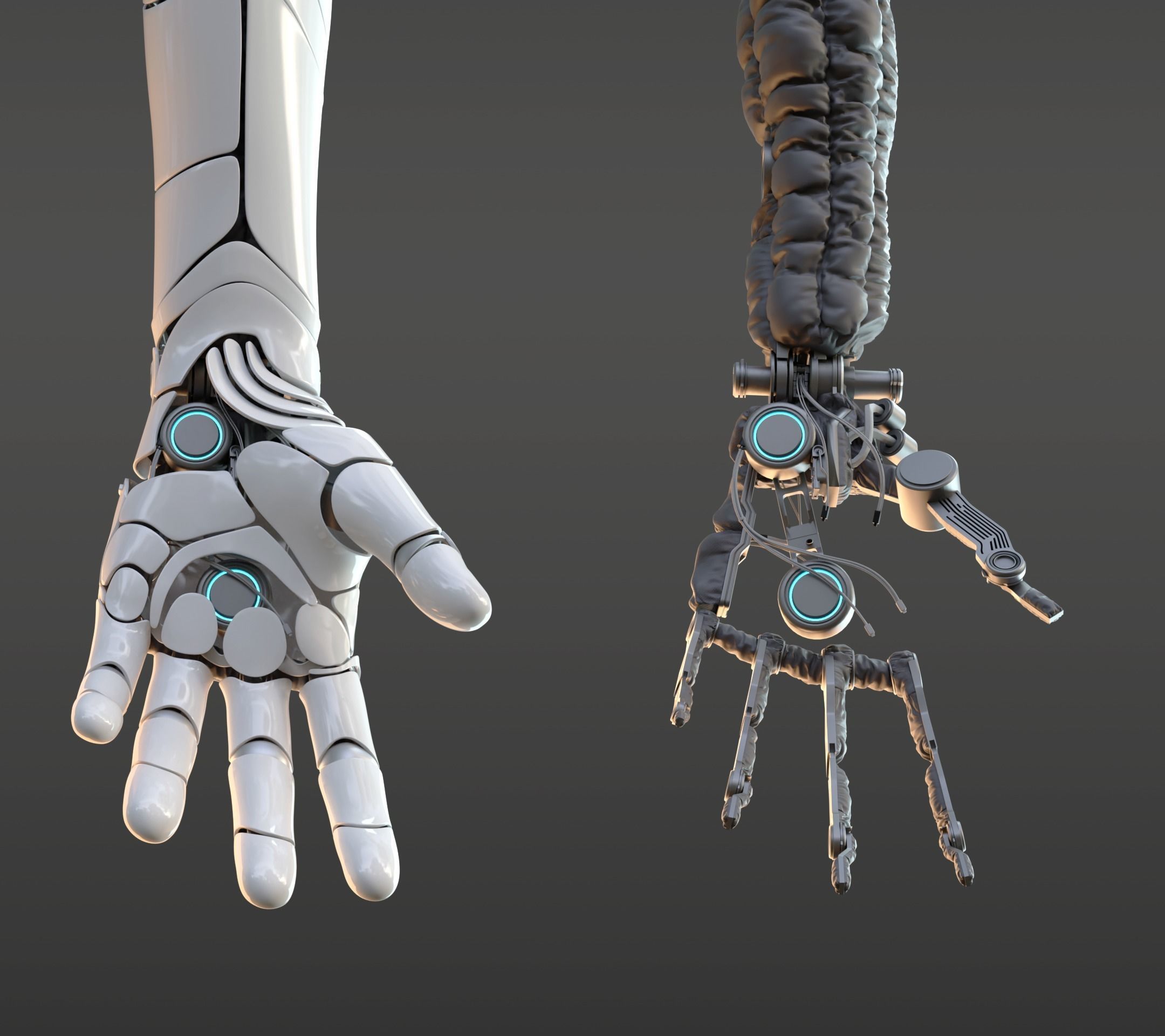 hand anatomy mechanical 3D model_21