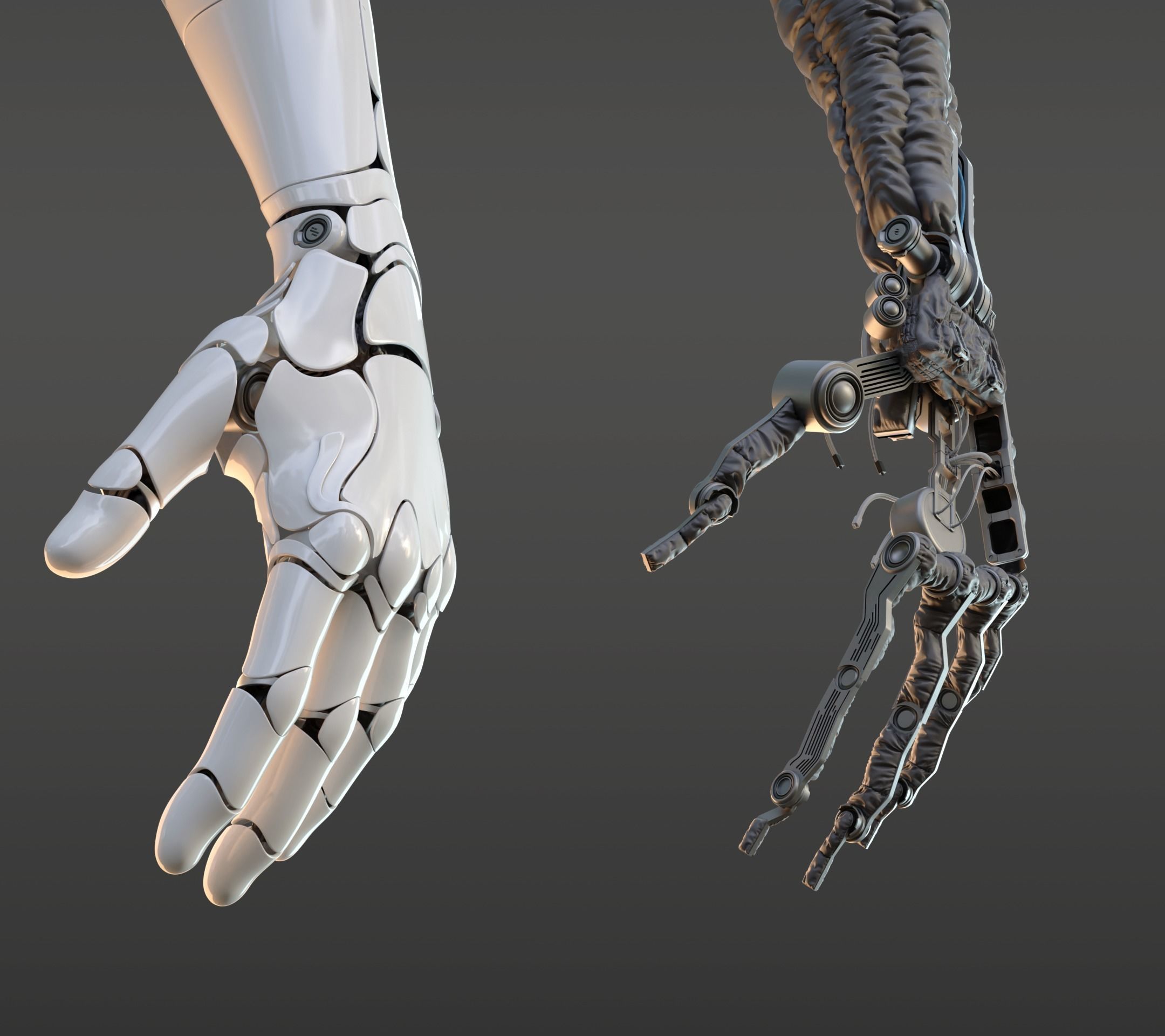 hand anatomy mechanical 3D model_22