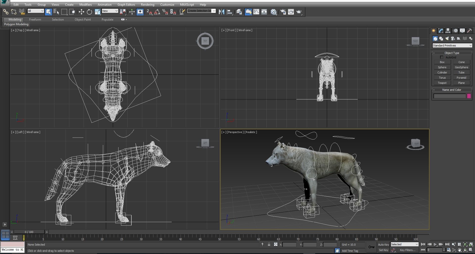 White Fox rigged 3D Models  Low-poly 3D model_18