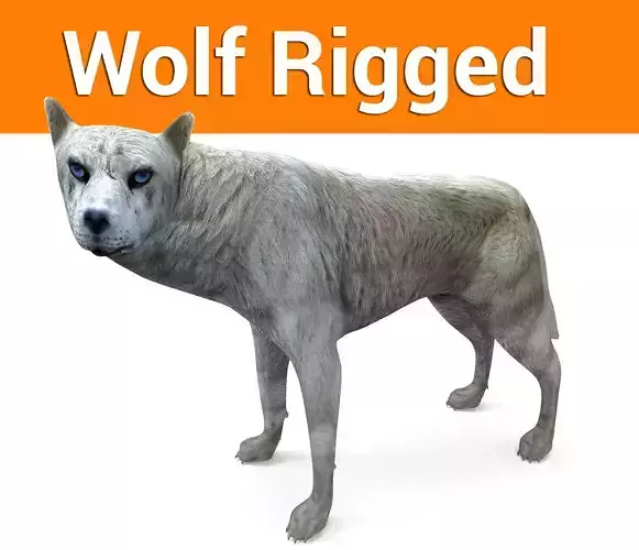 White Fox rigged 3D Models  Low-poly 3D model