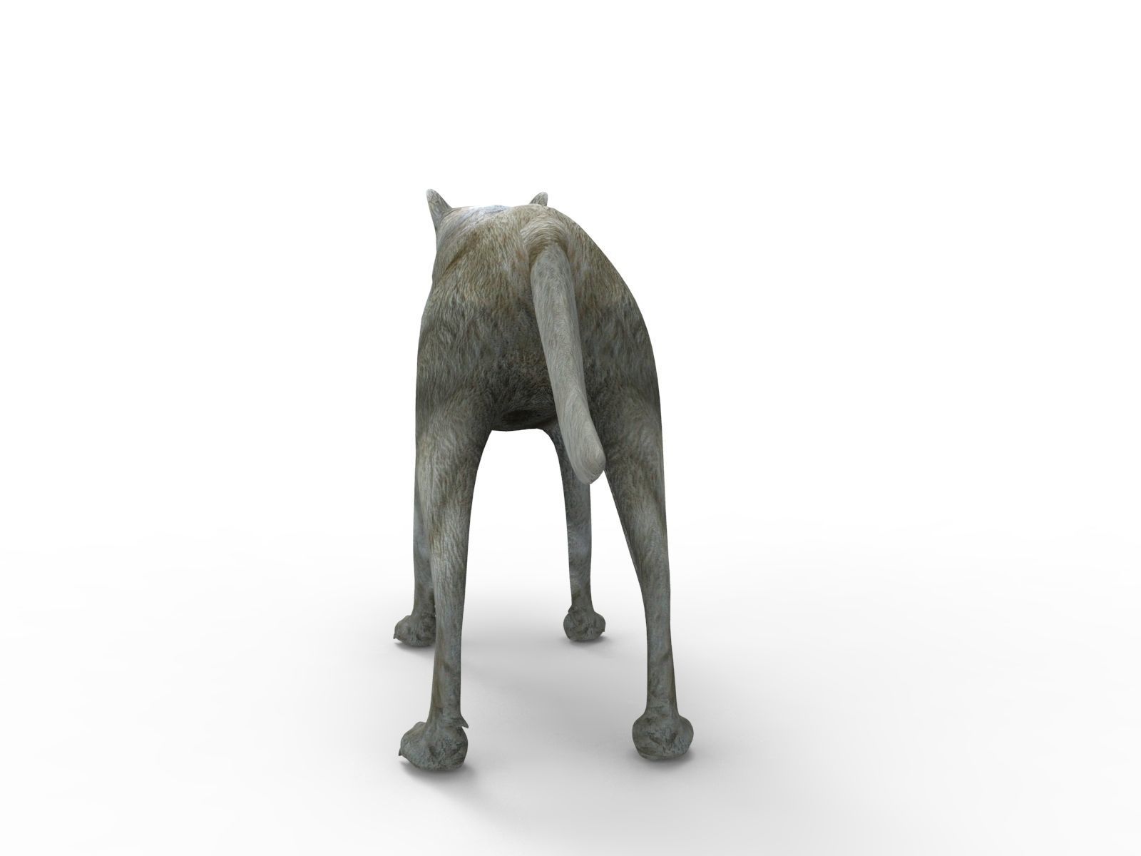 White Fox rigged 3D Models  Low-poly 3D model_8