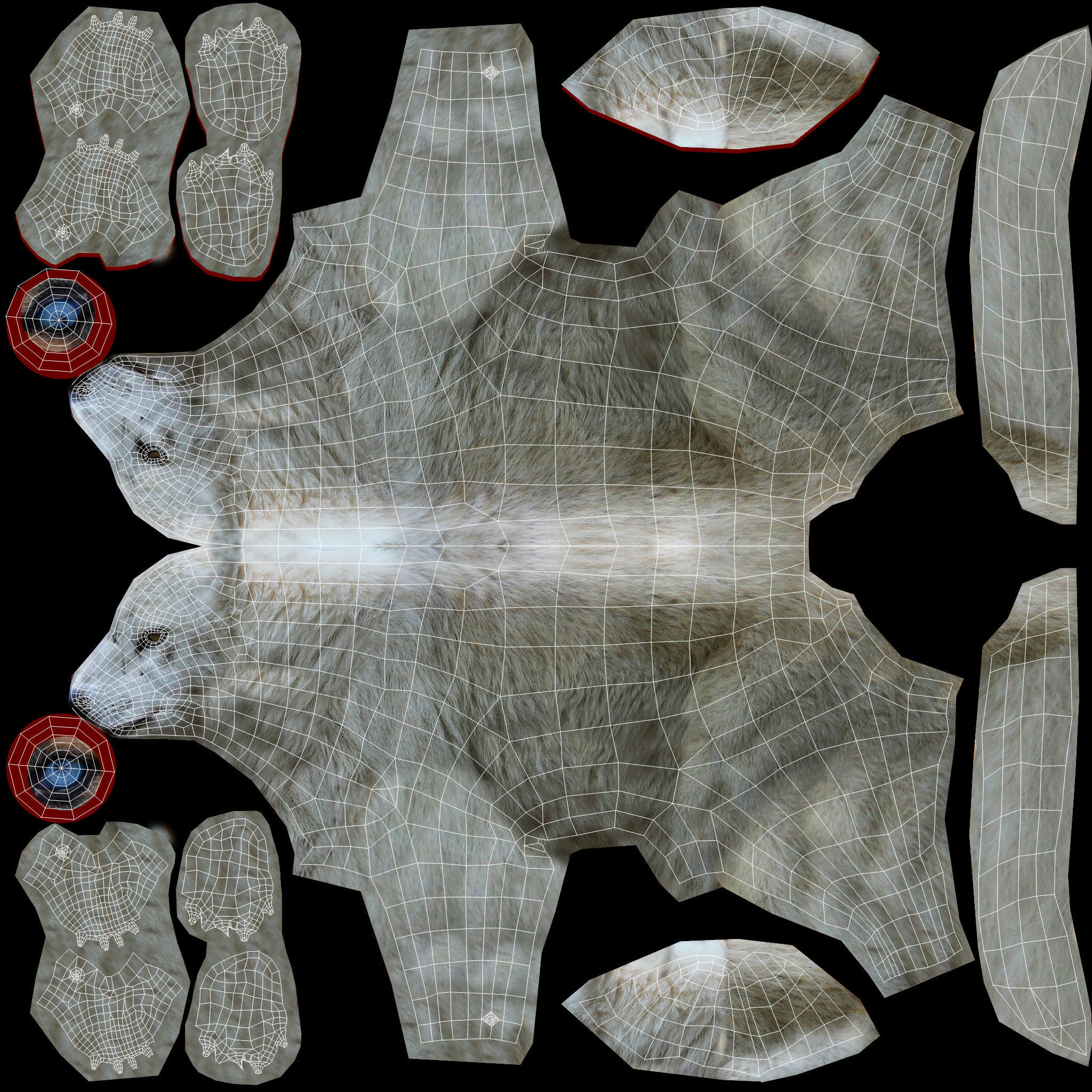 White Fox rigged 3D Models  Low-poly 3D model_21