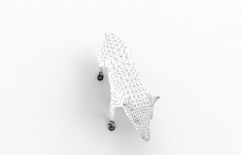 White Fox rigged 3D Models  Low-poly 3D model_16