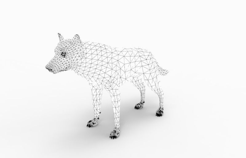 White Fox rigged 3D Models  Low-poly 3D model_15