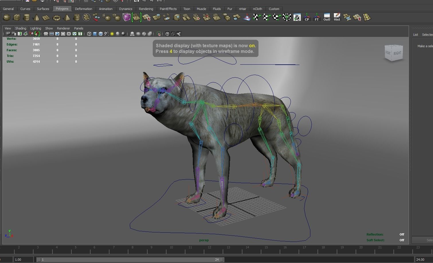 White Fox rigged 3D Models  Low-poly 3D model_17