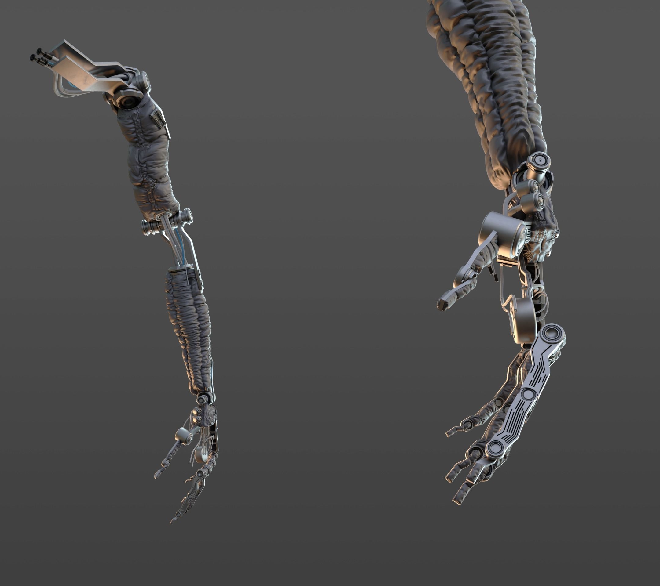 Robotic hand anatomy 3D model_25