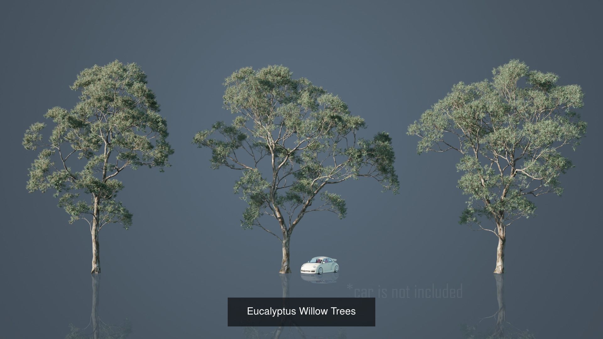 Real Trees Pack 3D Model Collection_20