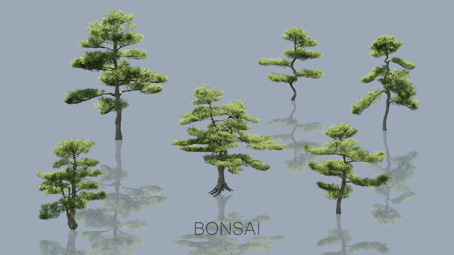 Real Trees Pack 3D Model Collection_11