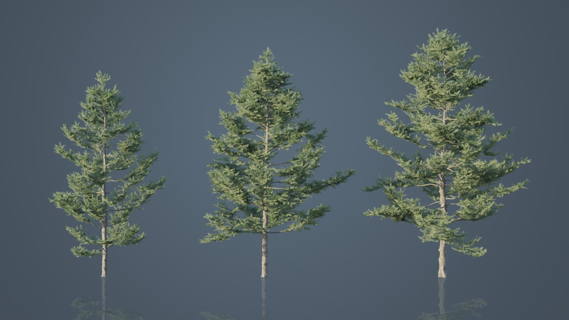 Real Trees Pack 3D Model Collection_25