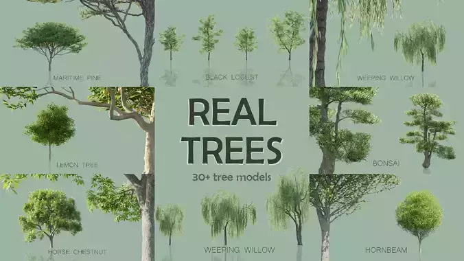 Real Trees Pack 3D Model Collection