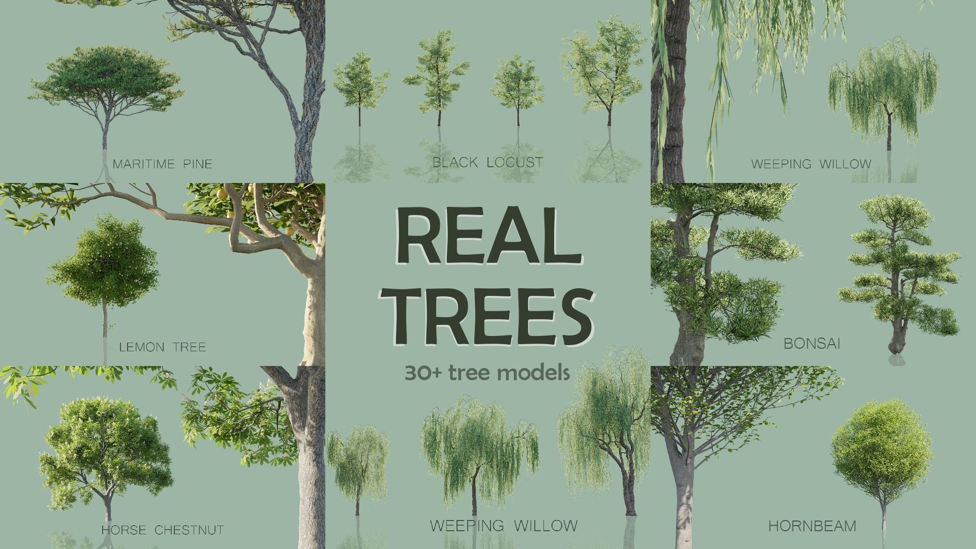 Real Trees Pack 3D Model Collection_0