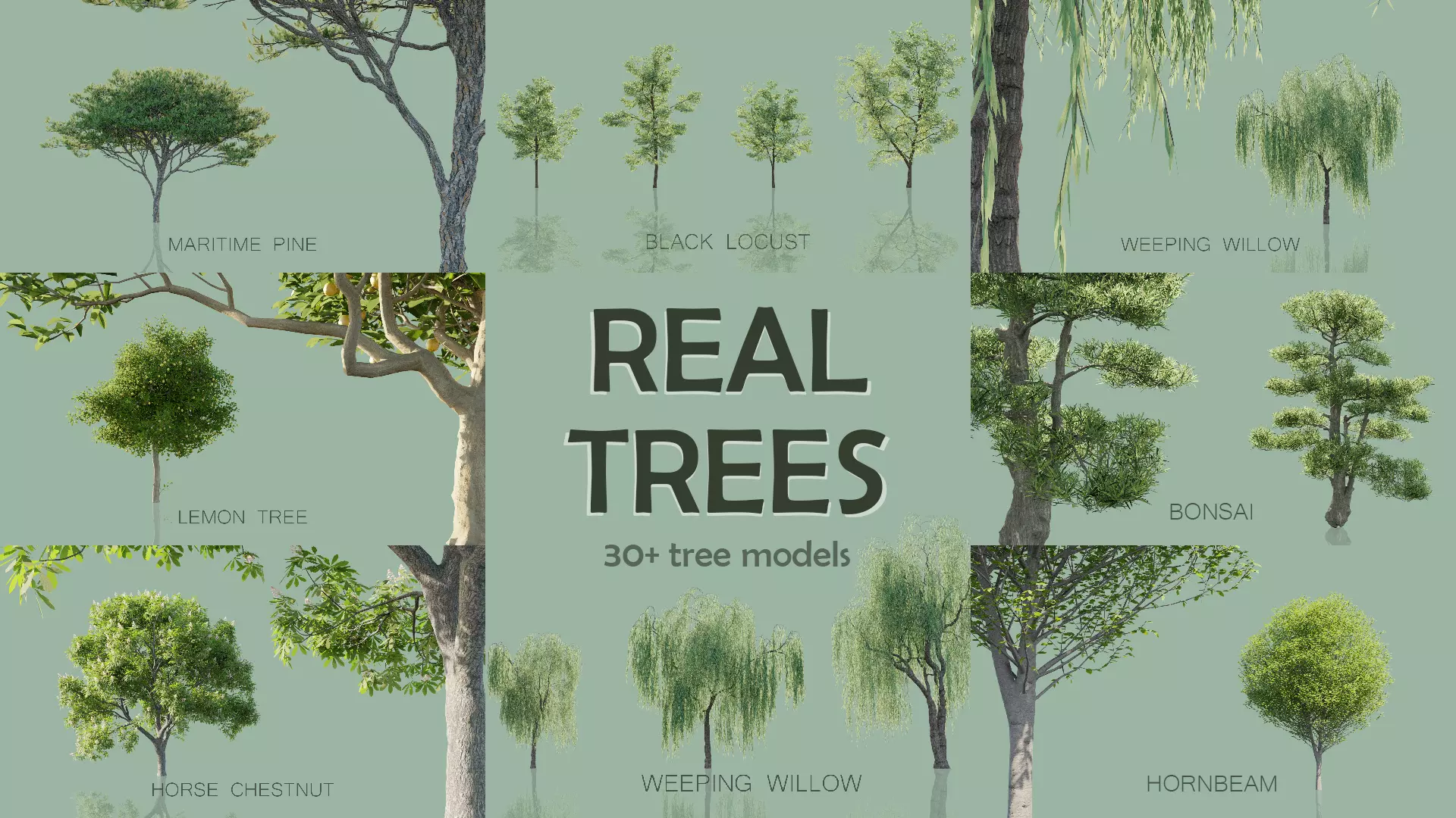 Real Trees Pack 3D Model Collection_0