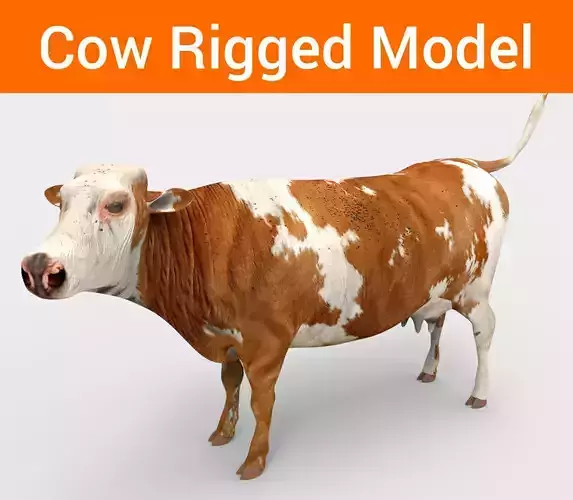 3D Cow Rigged cattle  Low-poly 3D model