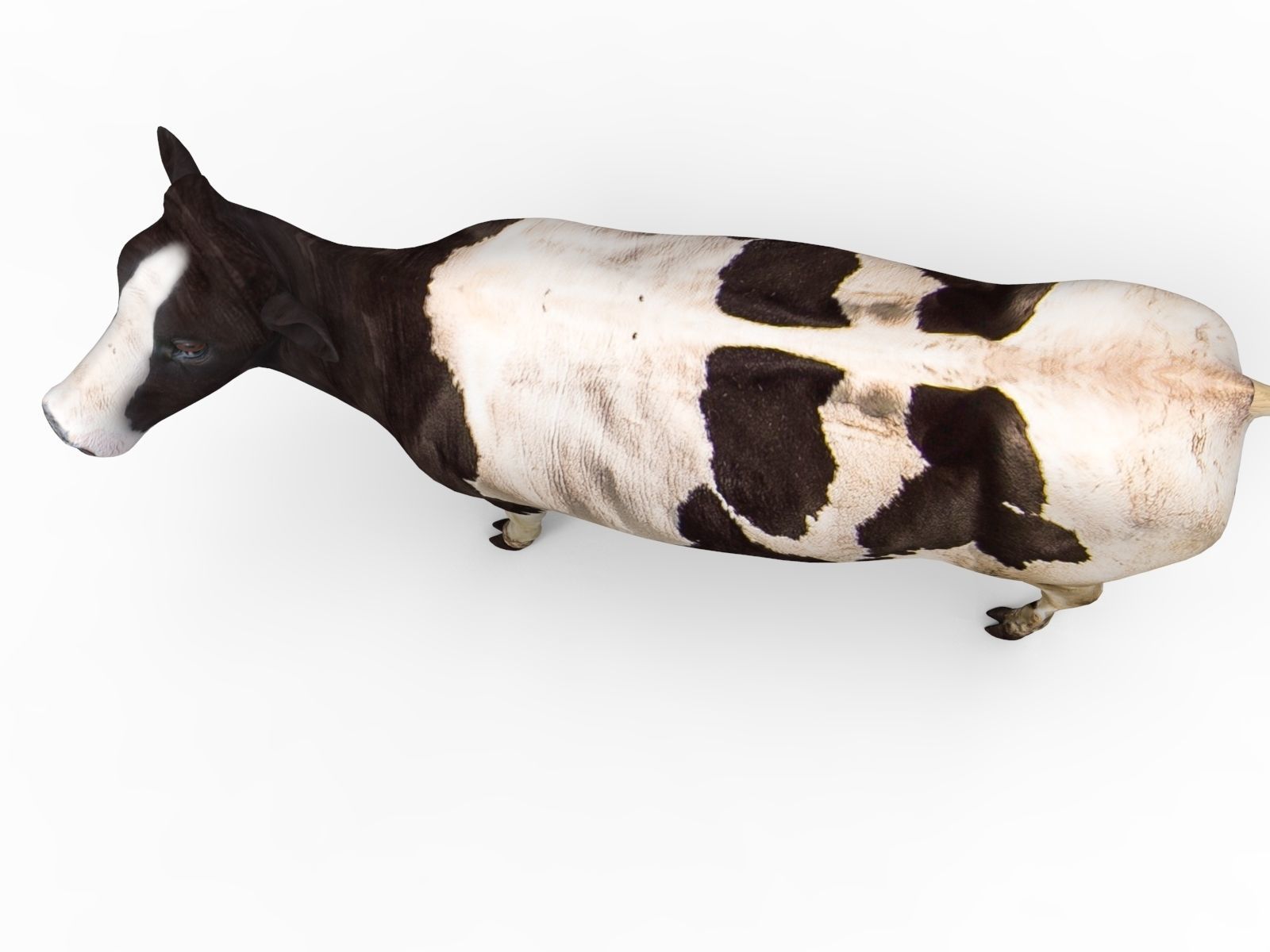 Cow Rigged cattle game ready low poly Low-poly 3D model_16