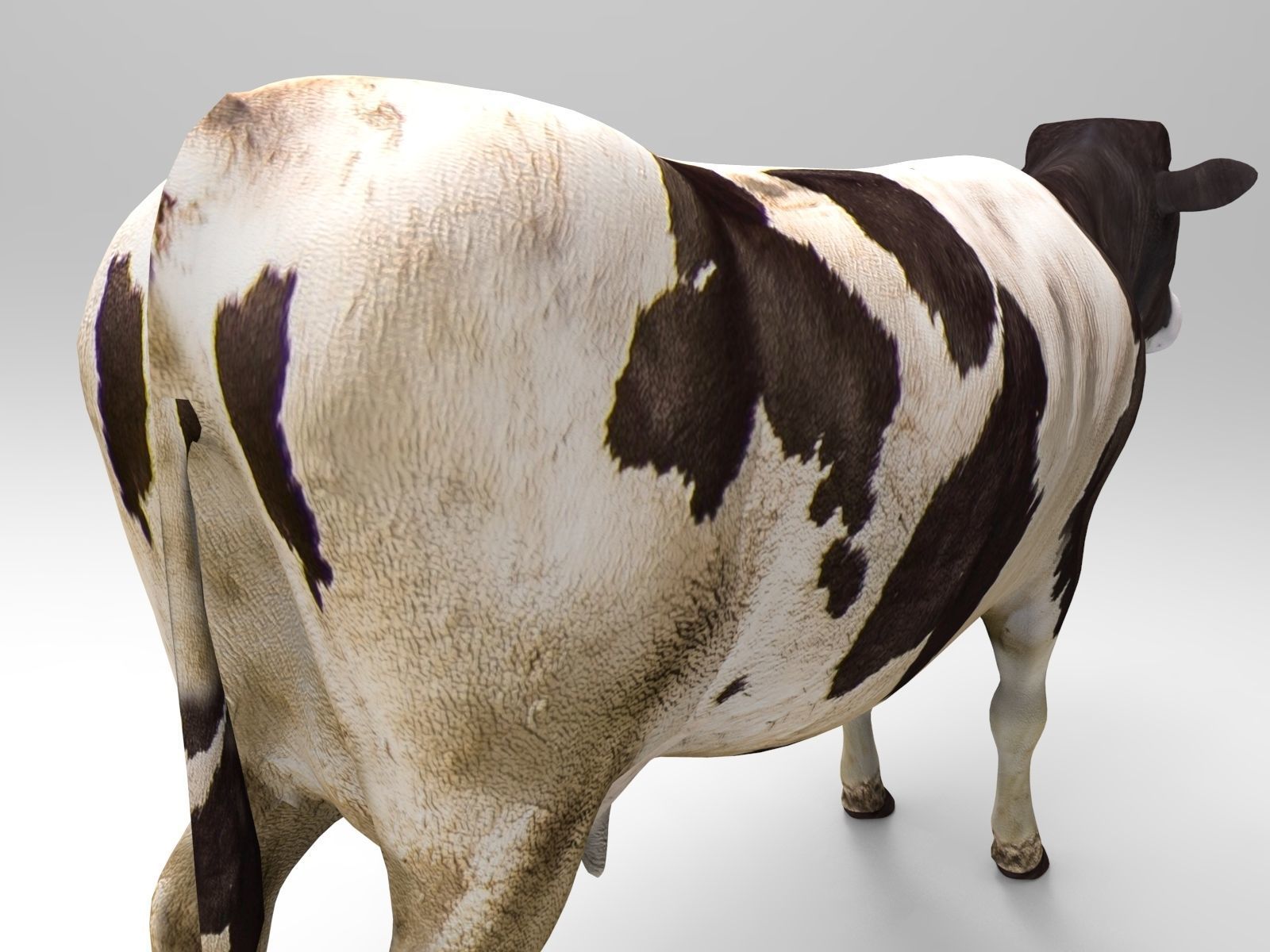 Cow Rigged cattle game ready low poly Low-poly 3D model_14