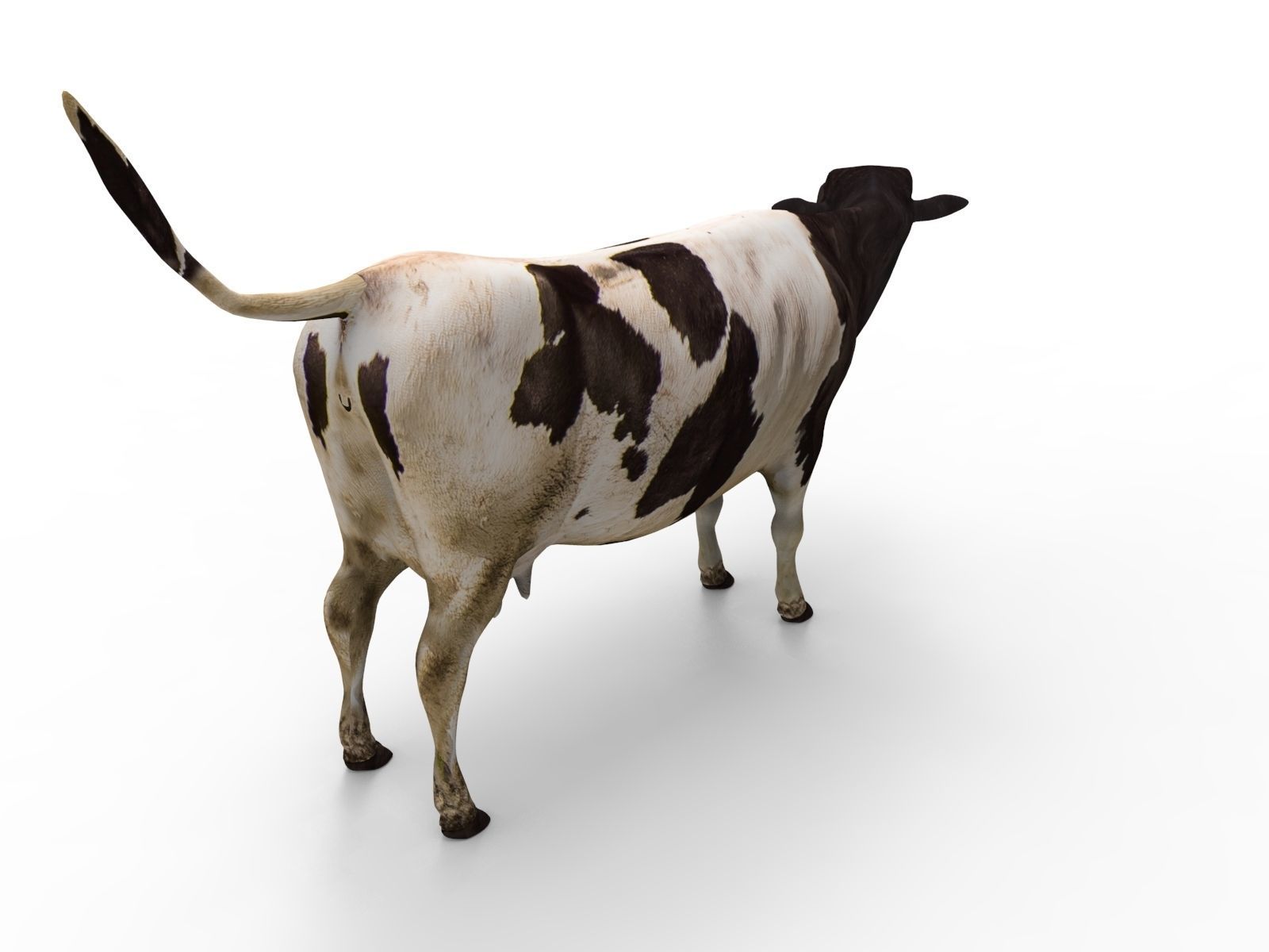 Cow Rigged cattle game ready low poly Low-poly 3D model_18